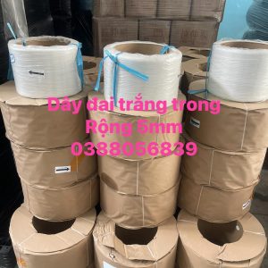 DÂy Đai TrẮng Trong